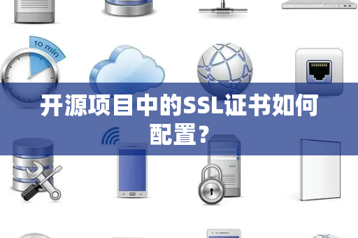 开源项目中的SSL证书如何配置？