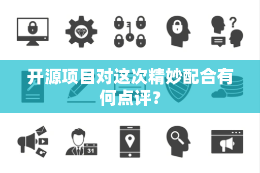开源项目对这次精妙配合有何点评？
