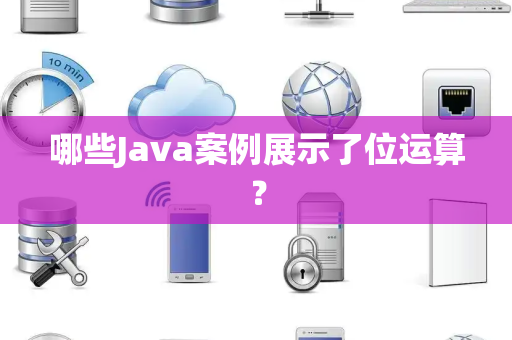 哪些Java案例展示了位运算？