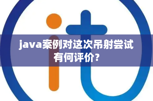 java案例对这次吊射尝试有何评价？