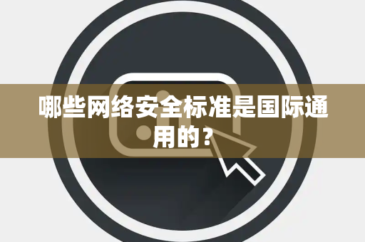 哪些网络安全标准是国际通用的？