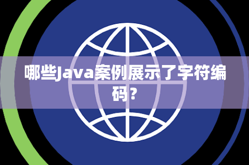 哪些Java案例展示了字符编码？
