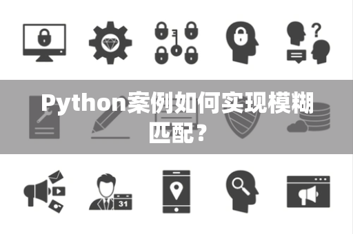 Python案例如何实现模糊匹配？