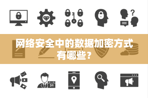 网络安全中的数据加密方式有哪些？