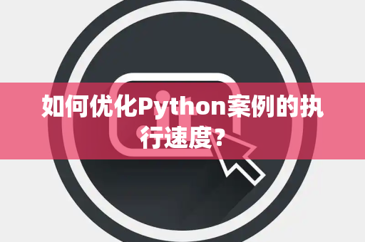 如何优化Python案例的执行速度？