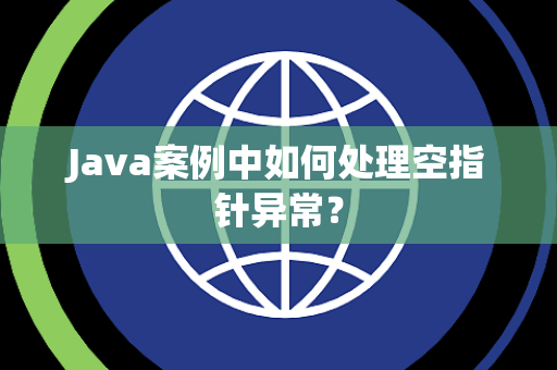 Java案例中如何处理空指针异常？