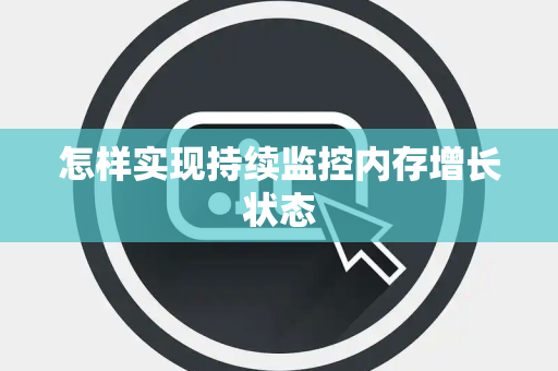 怎样实现持续监控内存增长状态 怎样实现持续监控内存增长状态