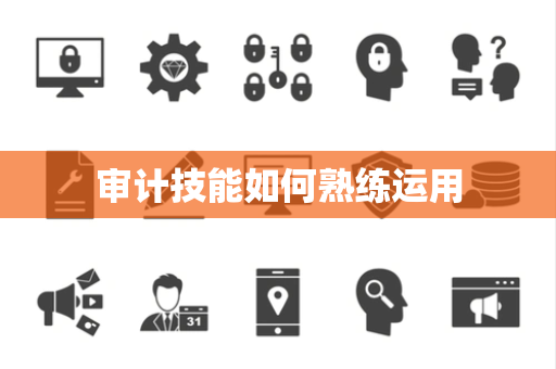 审计技能如何熟练运用 审计技能如何熟练运用
