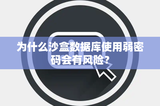 为什么沙盒数据库使用弱密码会有风险? 为什么沙盒数据库使用弱密码会有风险?