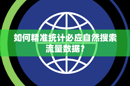 如何精准统计必应自然搜索流量数据？