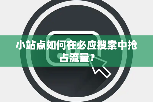 小站点如何在必应搜索中抢占流量？
