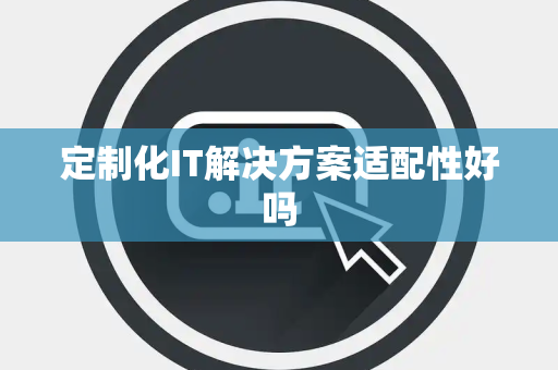 定制化IT解决方案适配性好吗 定制化IT解决方案适配性好吗