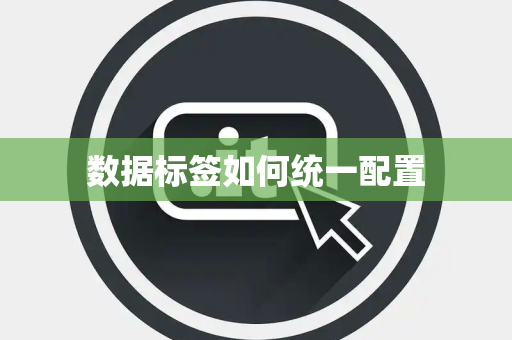 数据标签如何统一配置 数据标签如何统一配置