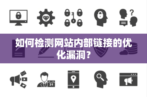 如何检测网站内部链接的优化漏洞？