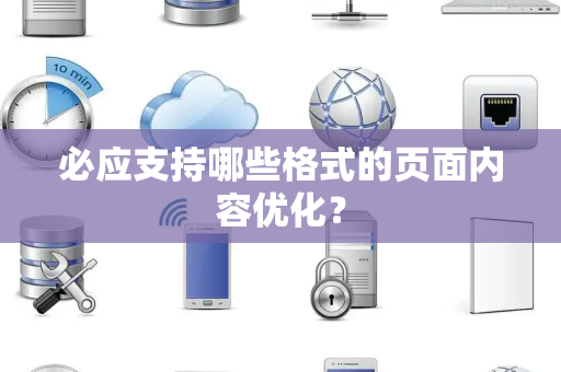 必应支持哪些格式的页面内容优化？