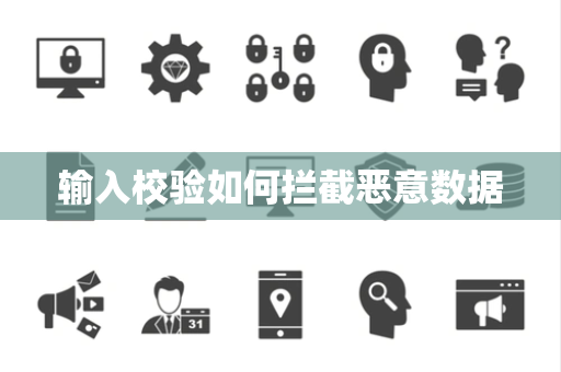 输入校验如何拦截恶意数据 输入校验如何拦截恶意数据
